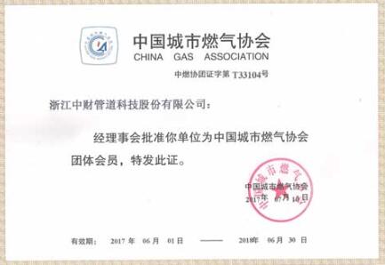 中财中国天然气协会