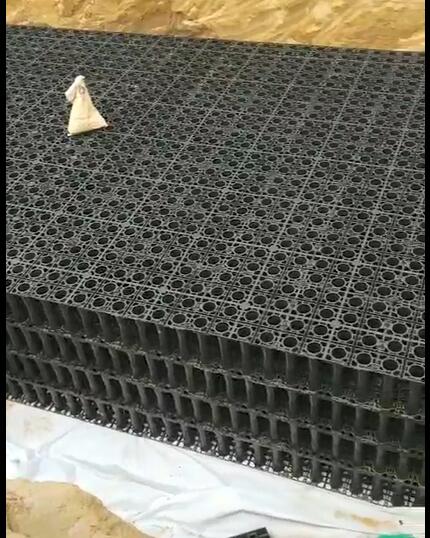 西安浐灞柳树于小学